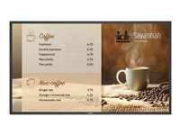 Philips 43BDL6017P - 43" Diagonal klass (42.5" visbar) - P-Line 6000 Series LED-bakgrundsbelyst LCD-skärm - digital skyltning - 4K UHD (2160p) 3840 x 2160 43BDL6017P/00