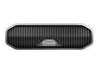 SanDisk - Hårddisk - Enterprise - 4 TB - extern (desktop) - USB 3.2 Gen 2 (USB-C kontakt) - 7200 rpm SDPHF1A-004T-MBAAD