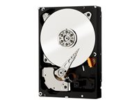 WD RE WD2503ABYZ - Hårddisk - 250 GB - inbyggd - 3.5" - SATA 6Gb/s - 7200 rpm - buffert: 64 MB WD2503ABYZ
