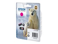 Epson 26 - 4.5 ml - magenta - original - bläckpatron - för Expression Premium XP-510, 520, 600, 605, 610, 615, 620, 625, 700, 710, 720, 800, 810, 820 C13T26134010