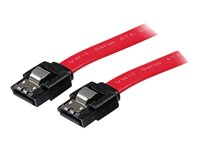 StarTech.com 24in Latching SATA Cable - SATA cable - Serial ATA 150/300/600 - SATA (R) to SATA (R) - 2 ft - latched - red (LSATA24) - SATA-kabel - Serial ATA 150/300/600 - SATA (R) till SATA (R) - 61 cm - sprintlåsning - röd - för P/N: 10P6G-PCIE-SATA-CARD, 2P6G-PCIE-SATA-CARD, 6P6G-PCIE-SATA-CARD, BRACKET125PTP LSATA24