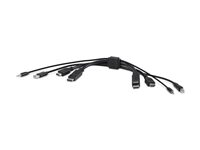 Belkin Secure KVM Combo Cable - Video/USB/ljud-kabel - TAA-kompatibel - HDMI, DisplayPort, minijack, USB (hane) till HDMI, DisplayPort, minijack, USB typ B (hane) - 3.05 m - stöd för 4K, passiv - svart F1DN2CC-HHPP10T