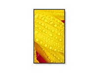 NEC MultiSync M431-2 - 43" Diagonal klass (42.5" visbar) - M Series LED-bakgrundsbelyst LCD-skärm - digital skyltning - med inbyggd mediaplayer / valfri slot-in PC-funktionalitet - 4K UHD (2160p) 3840 x 2160 - HDR - direktupplyst LED - pantone 426M 60006083