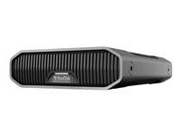 SanDisk - Hårddisk - Enterprise - 12 TB - extern (desktop) - USB 3.2 Gen 2 (USB-C kontakt) - 7200 rpm SDPHF1A-012T-MBAAD