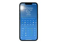 Apple iPhone 13 - 5G smartphone - dual-SIM / Internminne 128 GB - OLED-skärm - 6.1" - 2532 x 1170 pixlar - 2 bakre kameror 12 MP, 12 MP - front camera 12 MP - grön MNGK3QN/A